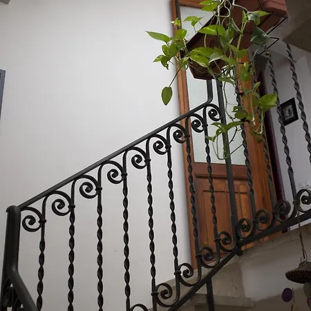 Area 12 Bb فندق مبيت وإفطار تراباني