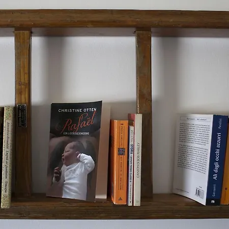 Area 12 Bb 3* تراباني