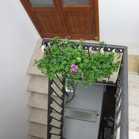 Area 12 Bb تراباني