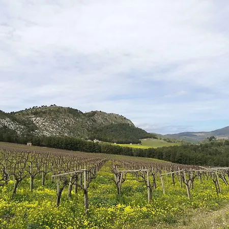 Area 12 Bb 3* تراباني