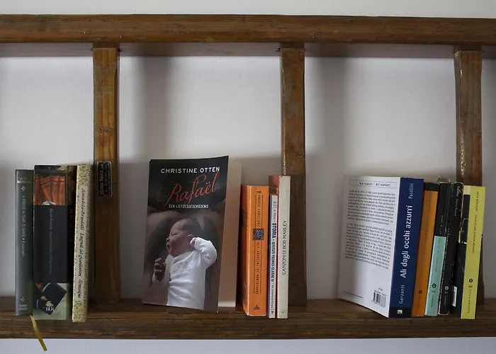 Area 12 Bb 3* 트라파니