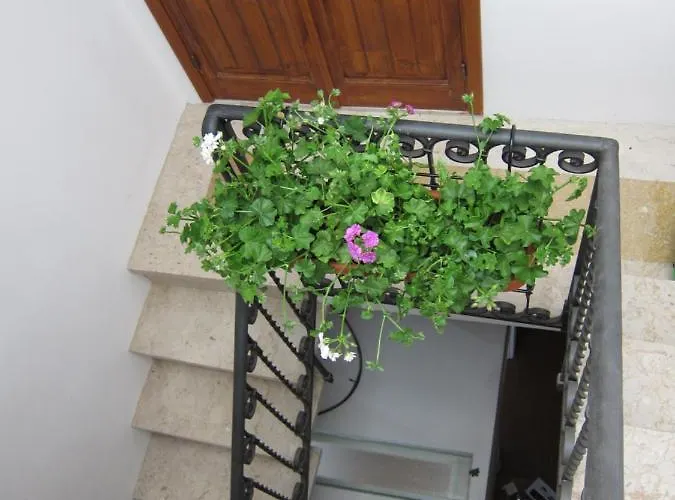 Area 12 Bb Трапани