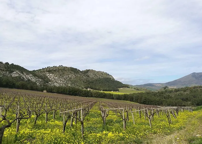 12区bb酒店 3* 特拉帕尼